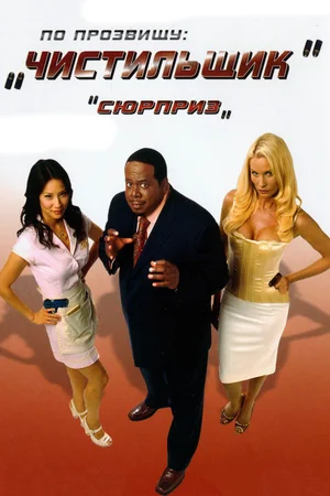 Постер: По прозвищу «Чистильщик»