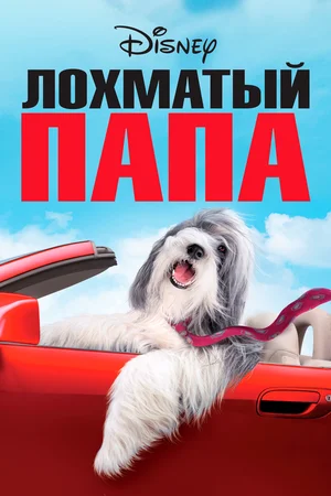 Постер: Лохматый папа