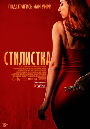 Постер: Стилист
