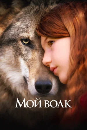 Постер: Мой волк